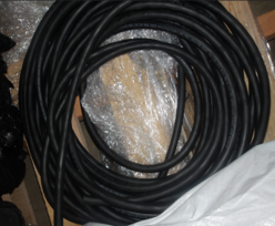3 CORE 10 AWG 600 ROHS CABLE.png