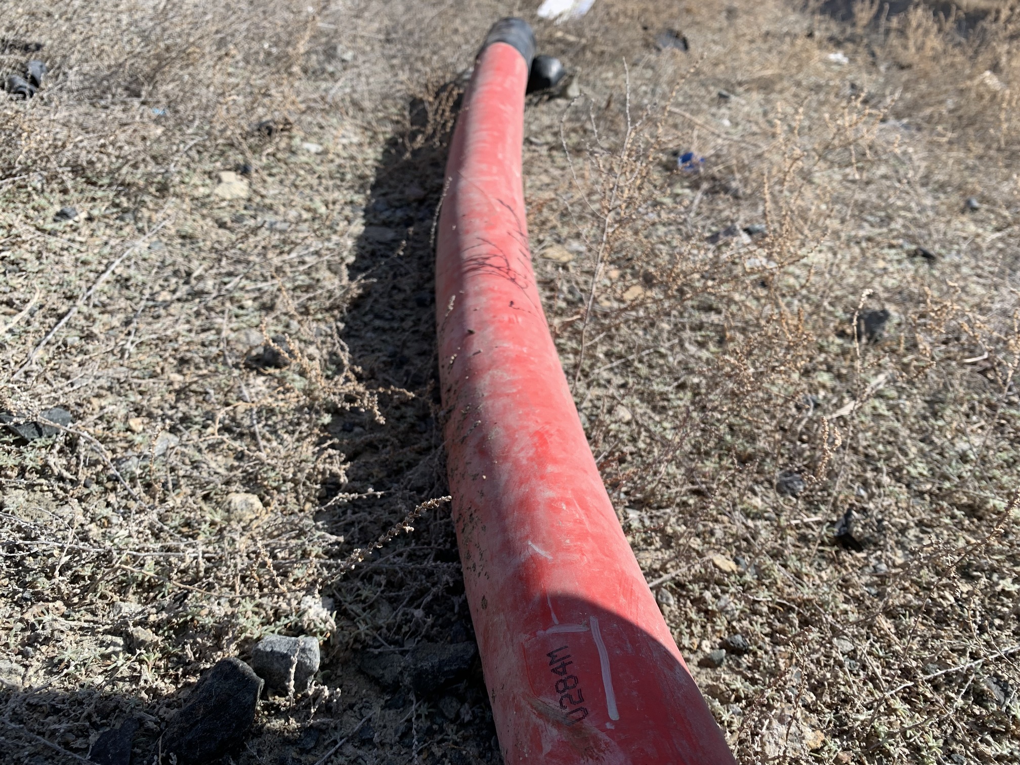 IMG_4177.jpg