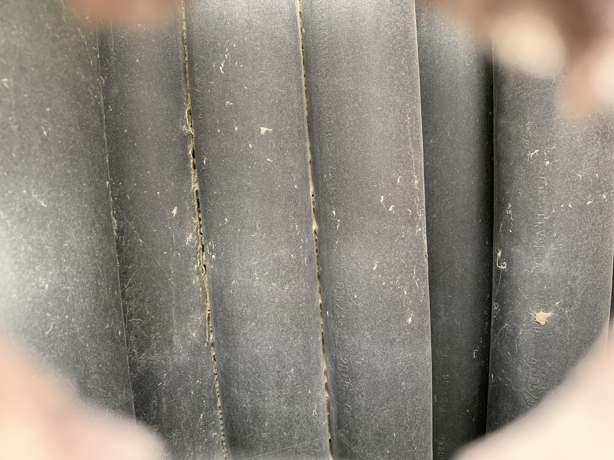IMG_2375.jpg