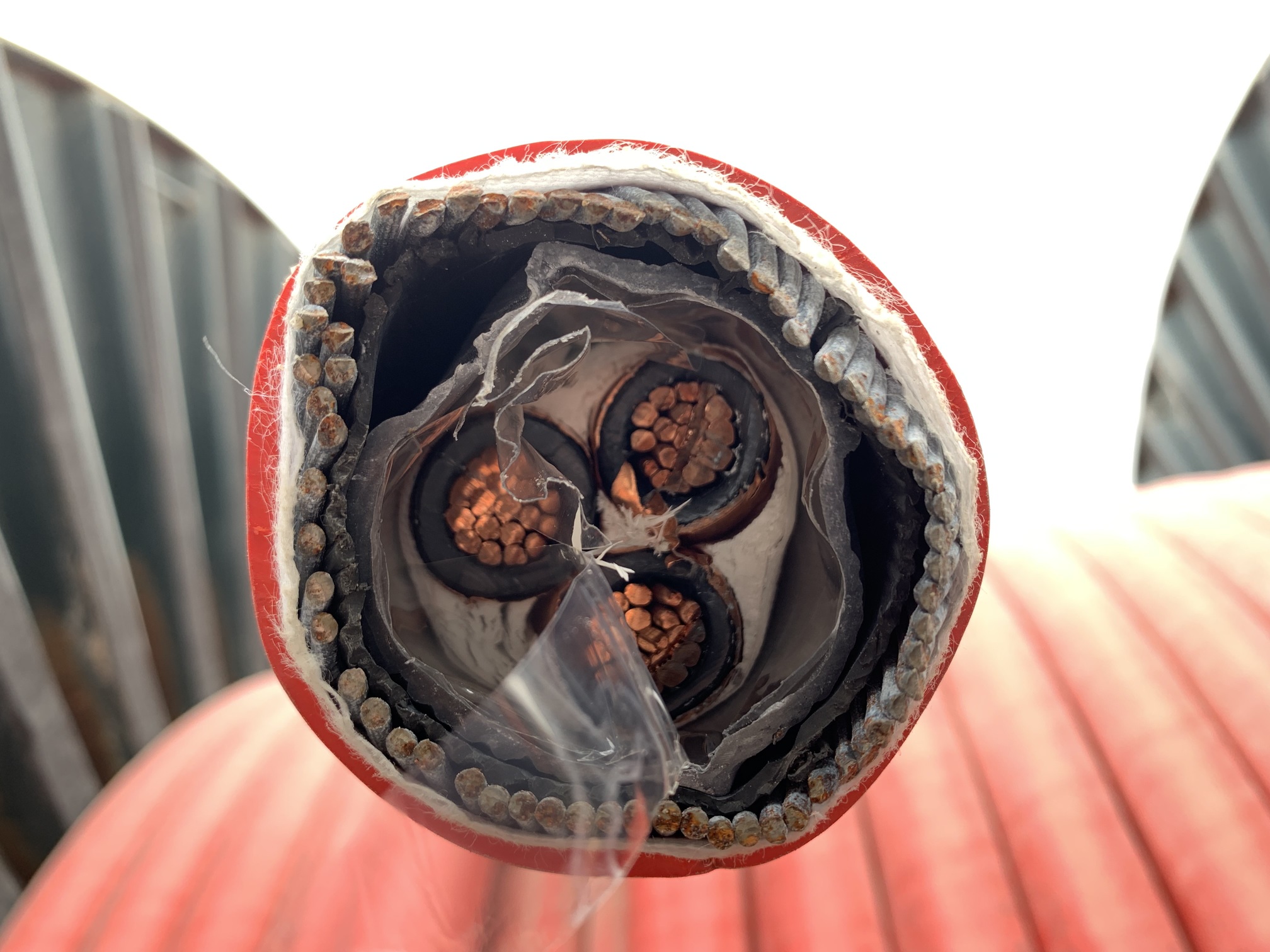 IMG_2117.jpg