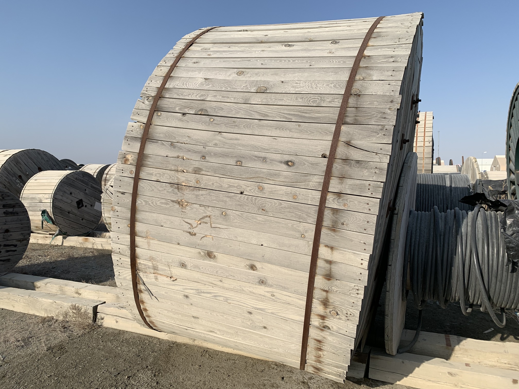 IMG_1600.jpg